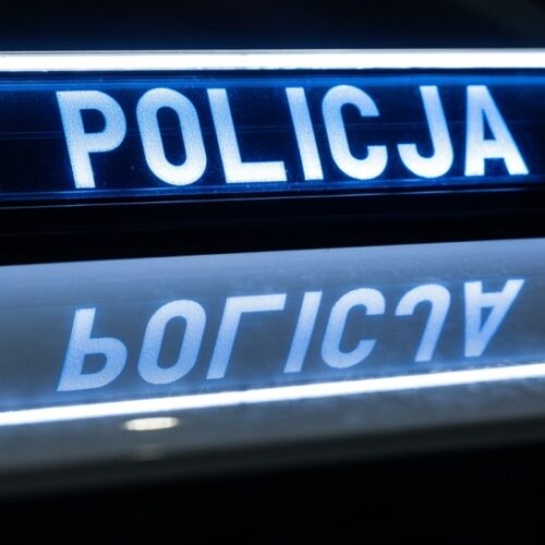 Policjanci zabezpieczyli ukrywany w zamrażarce mefedron