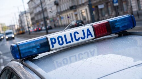 Amfetamina schowana za obrazem: odkrycie policji w Oleśnicy
