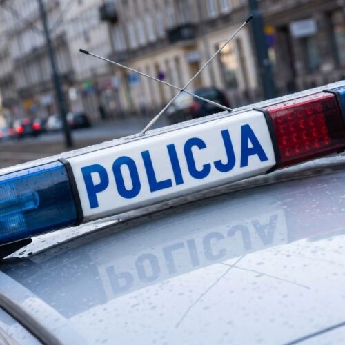 Amfetamina schowana za obrazem: odkrycie policji w Oleśnicy
