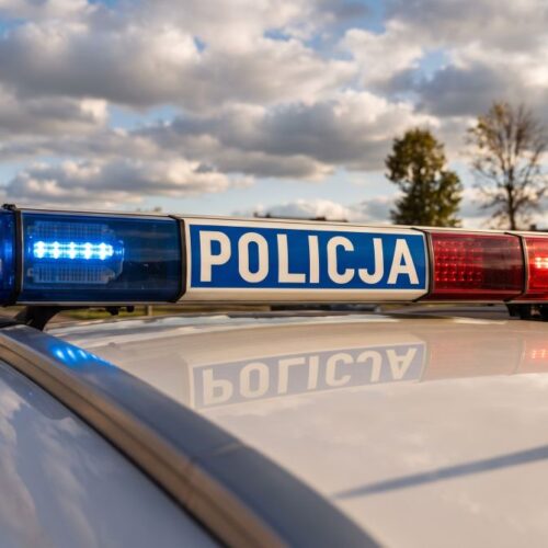 Policja błyskawicznie rozwiązuje sprawę włamania do altanki w Trzebnicy