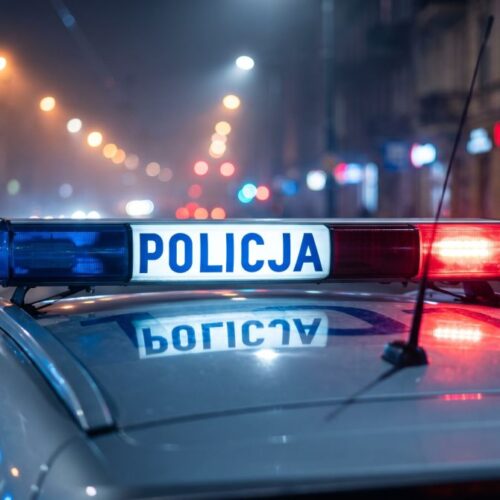Kradzieże w biały dzień: Mężczyzna zabierał alkohol jak do siebie